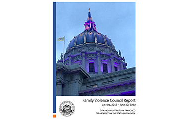 Family Violence Council Report